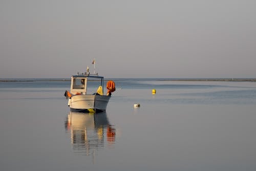 Foto d'estoc gratuïta de barca de pesca, embarcació d'aigua, mar