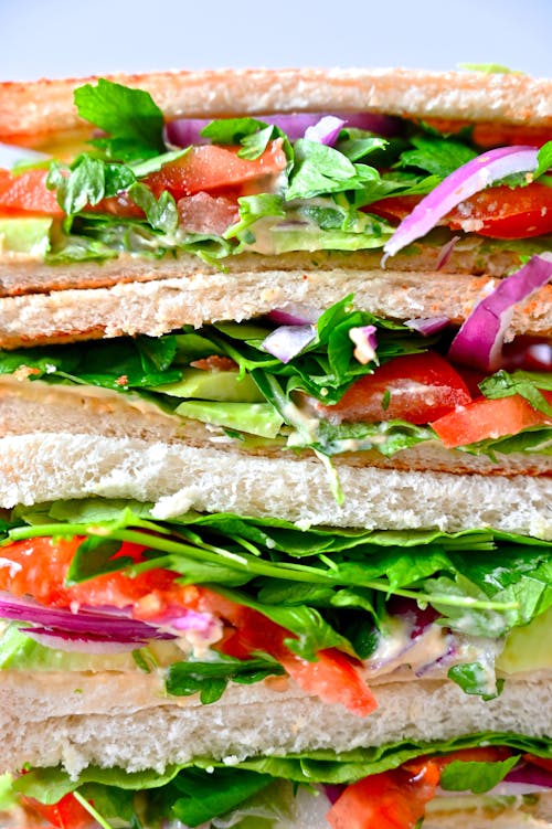 Toasted Vegetable Sandwich