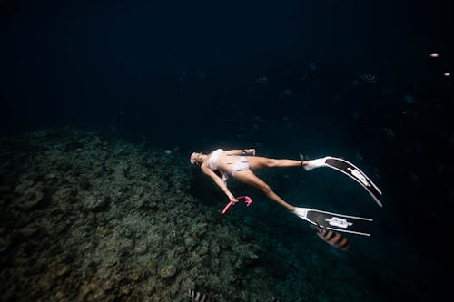 Full body of slim female in bikini and snorkeling equipment swimming in flippers near corals and fishes