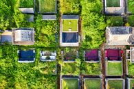 Drone shot of a lush green cemetery in Tangerang, showcasing diverse gravestones from above.