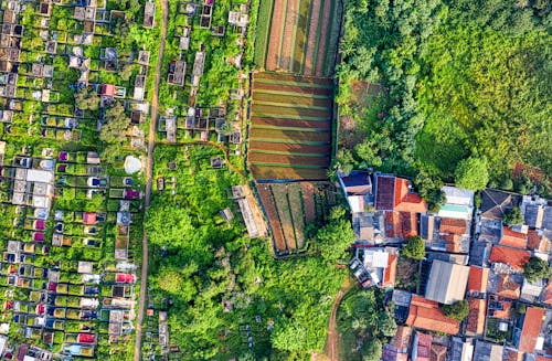 бесплатная Бесплатное стоковое фото с вид сверху, деревня, дома Стоковое фото