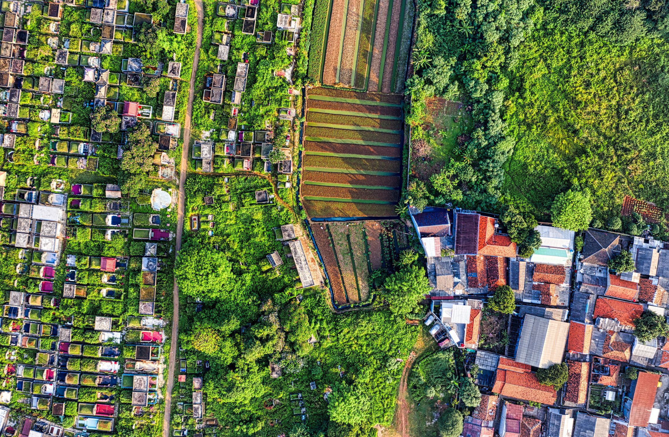 Aerial View of a Town Surrounded with Green Trees · Free Stock Photo
