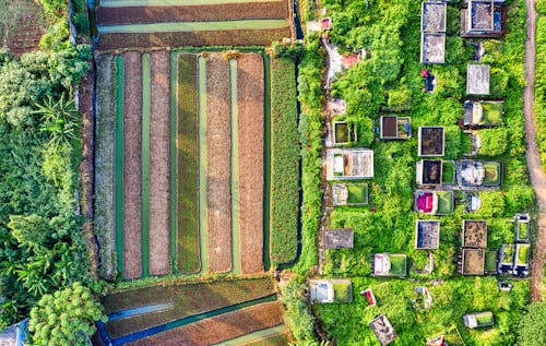 Aerial View of Cropland 