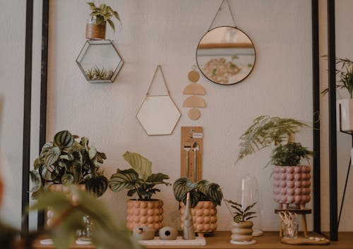 Potted plants and mirrors near wall