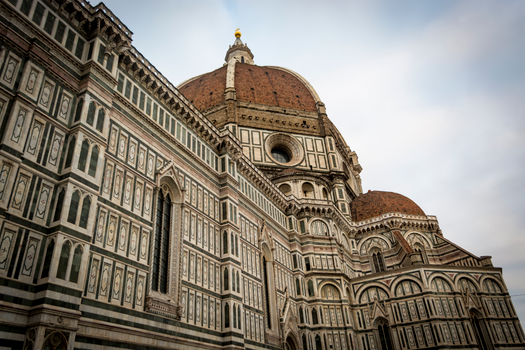 Tuscan truffle hunt with a family — Florence