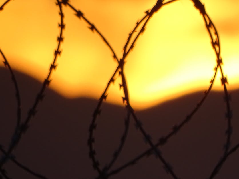 Free stock photo of barb wires, blurred background, dawn