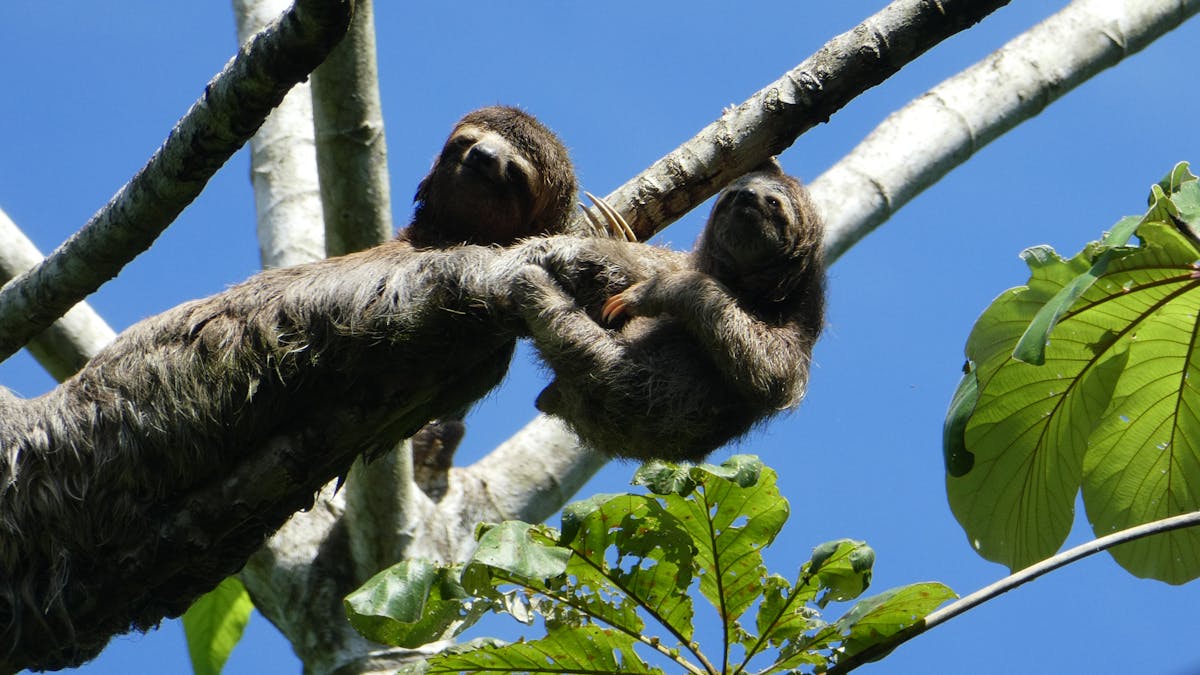 Person writing in a journal while their smartphone is set aside on the table