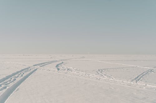 Foto d'estoc gratuïta de cobert de neu, congelat, constipat