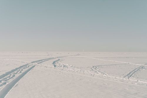 Free Expansive snowy field with tire tracks crossing in a tranquil winter setting. Stock Photo