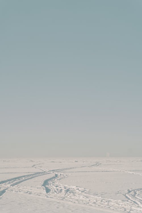 Gratis lagerfoto af Antarktis, forkølelse, frossen