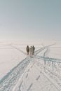 Free stock photo of adult, adventure, arctic