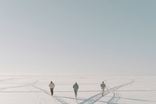 Back View of People Running During Winter