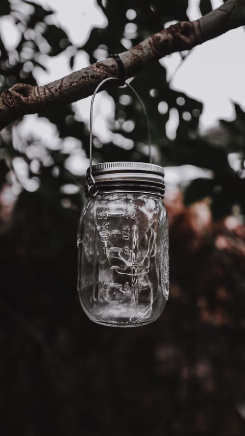 Free Close-up of a glass mason jar hanging on a tree branch, creating a rustic and natural atmosphere. Stock Photo