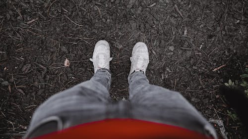 Free Photo of a Person Wearing Denim Jeans and White Shoes Stock Photo