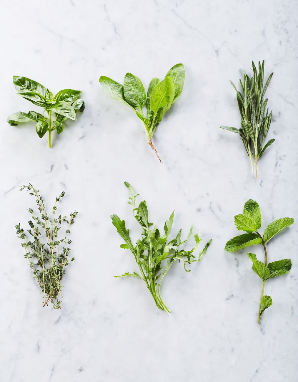 troubleshooting herbs