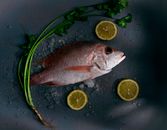 Fresh Fish Beside Sliced Lemon and Celery
