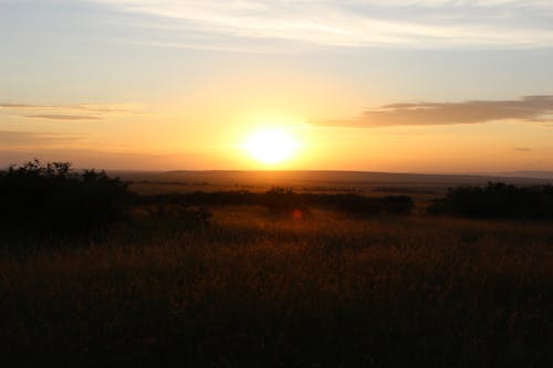 Free stock photo of dusk at the mara