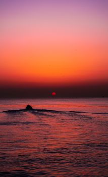 Serene sunset view over the Istanbul ocean with vibrant colors in the sky.
