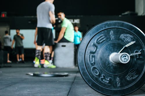 Free 10 Lb Rogue Weight Plate Near People Gathered Stock Photo