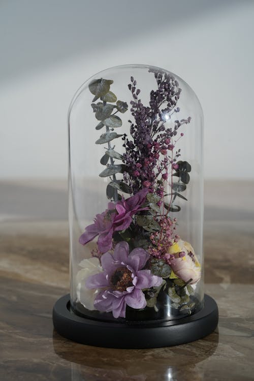 Darmowe zdjęcie z galerii z flora, kompozycja kwiatowa, kwiaty