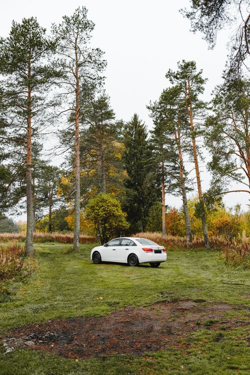Free White sedan car parked amidst lush green forest with tall trees, capturing the fall season's beauty in Karelia, Russia. Stock Photo