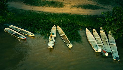 Free stock photo of boat, boat ride, river bank