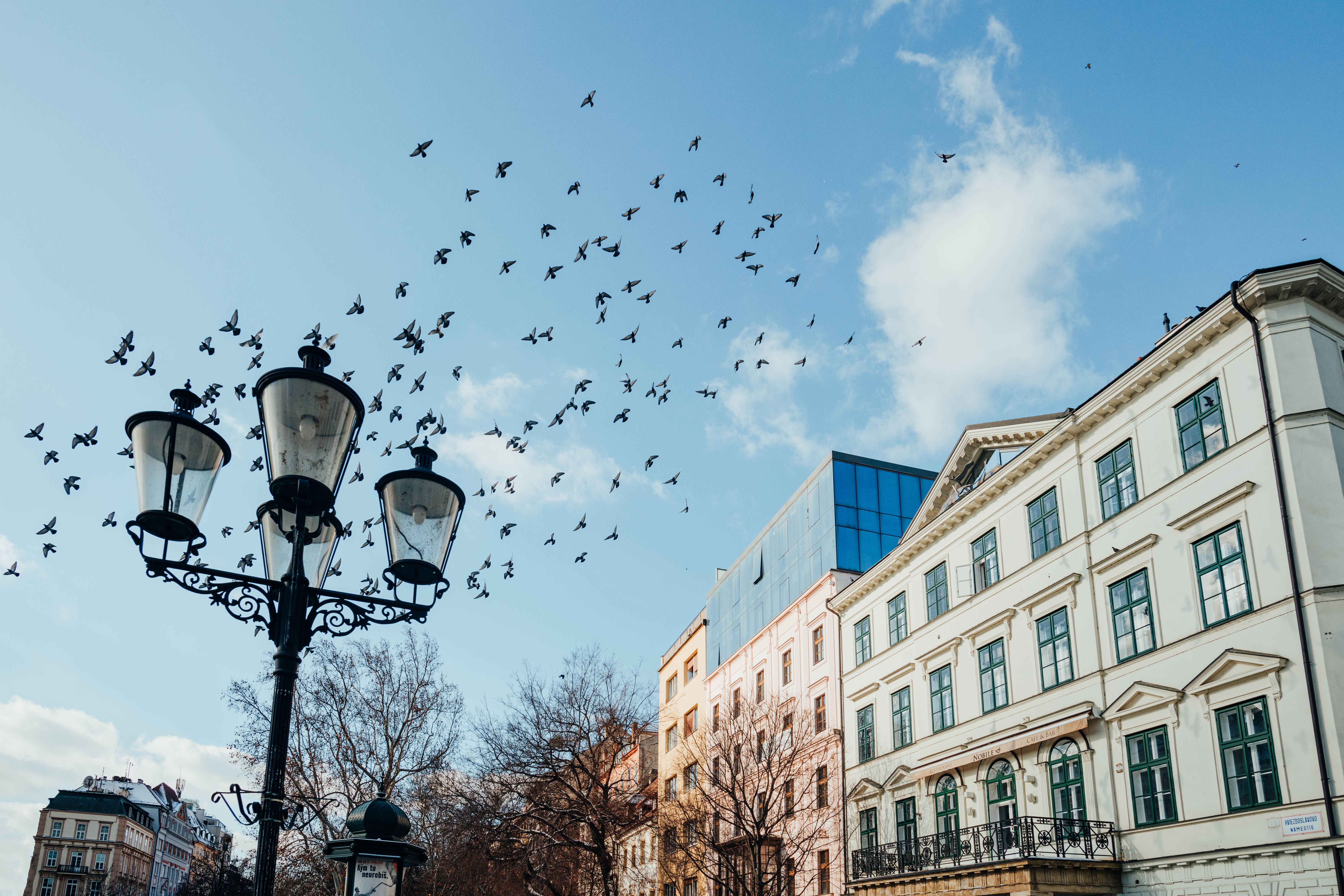 A beautiful building facade with a flock of birds flying in a clear blue sky above a vintage lamp post.