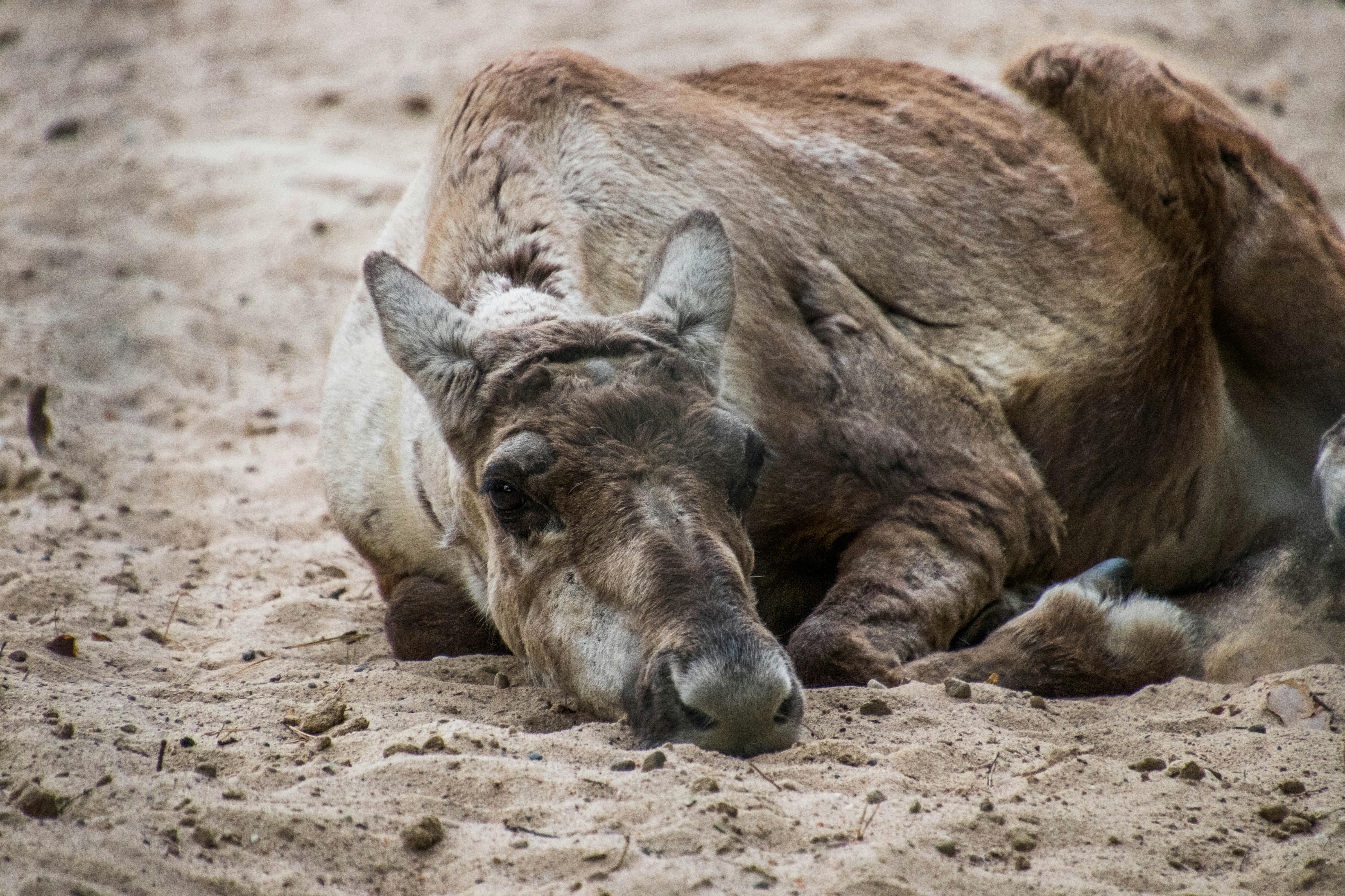 Softly lit living room with neutral sofa, floor lamp, and calm, minimal decor