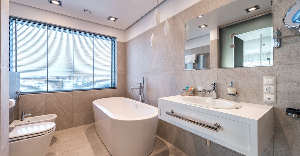 White bathtub and bidet placed near sink with hygienic supplies and mirror in stylish light bathroom with jalousie on window