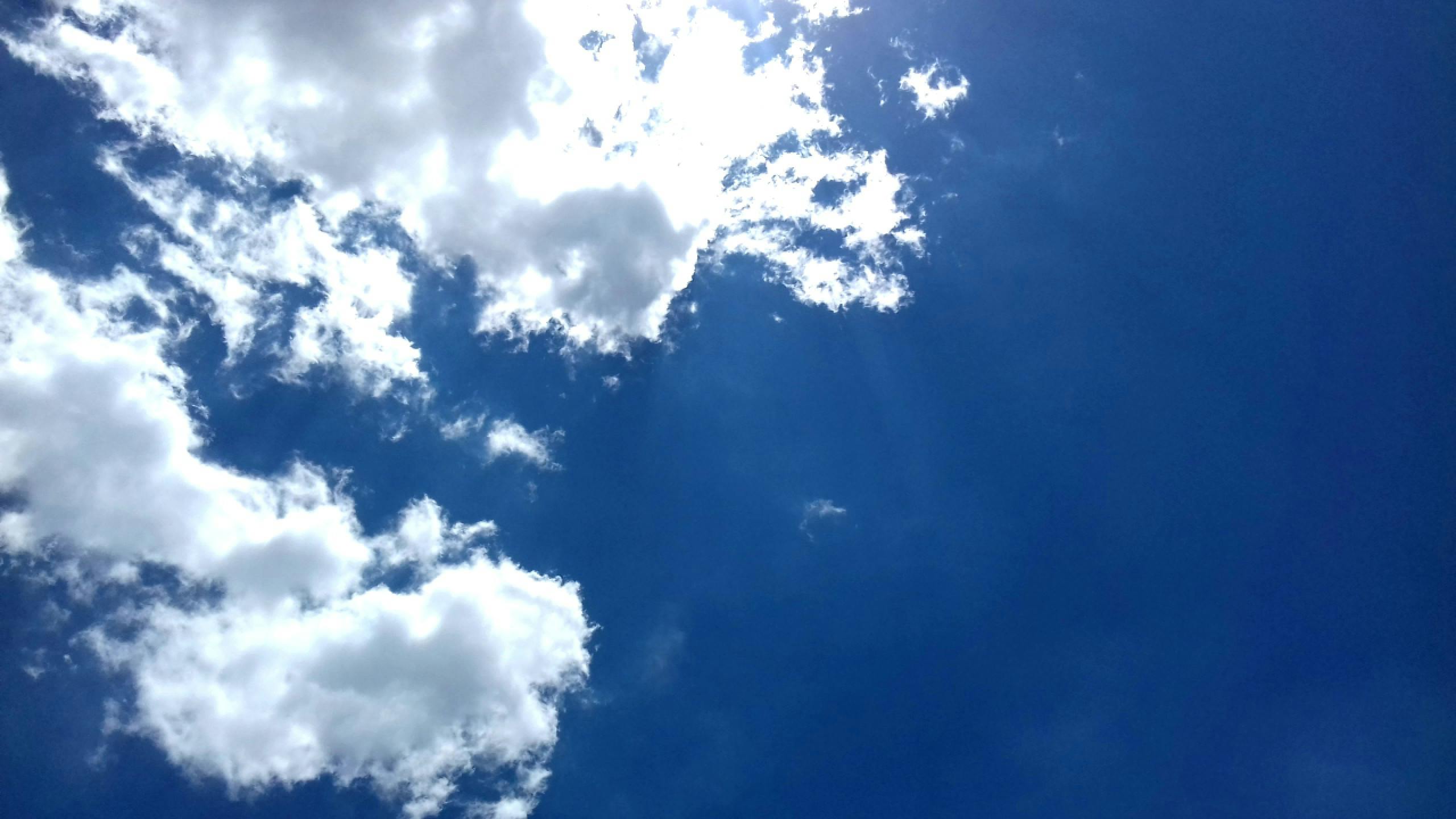 Free stock photo of heaven, sunny, sunny day