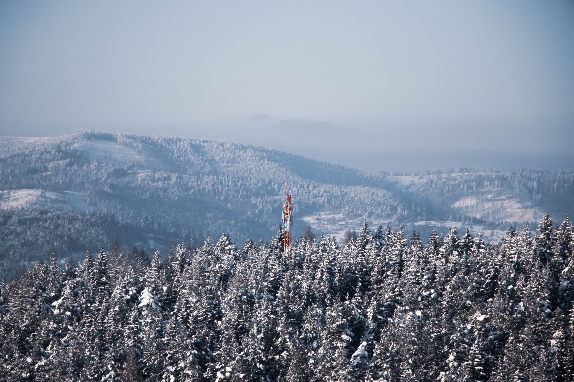 A serene winter scene featuring snow-covered trees and a distant radio tower in a foggy mountain landscape.