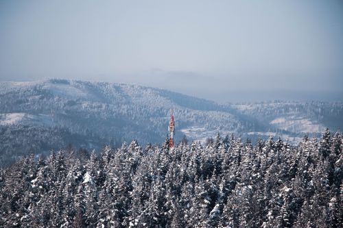 Free A serene winter scene featuring snow-covered trees and a distant radio tower in a foggy mountain landscape. Stock Photo