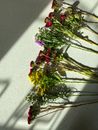 Red and Green Flower Bouquet