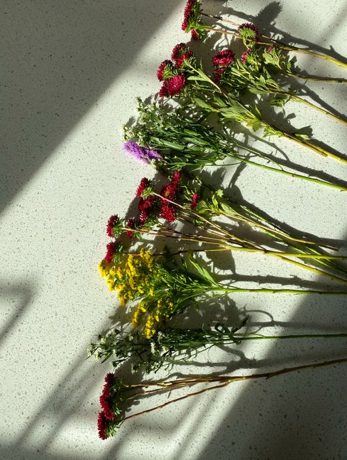 Free A vibrant array of wildflowers arranged on a sunlit marble surface, capturing natural beauty. Stock Photo
