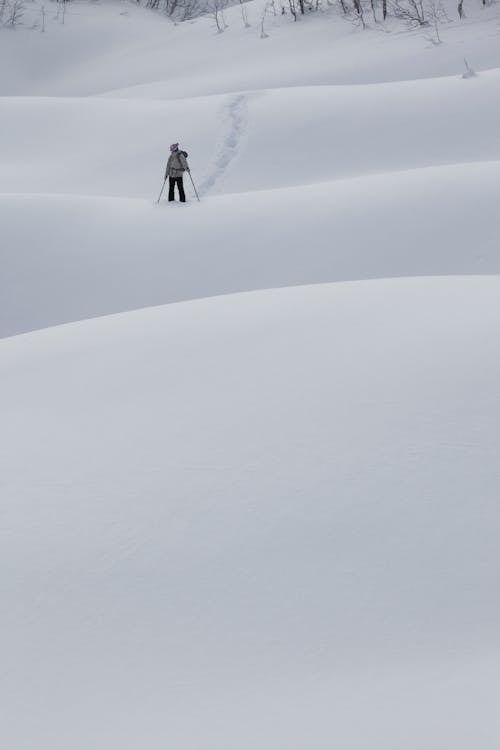  A Person Standing on a Snow Covered Hill with Poles