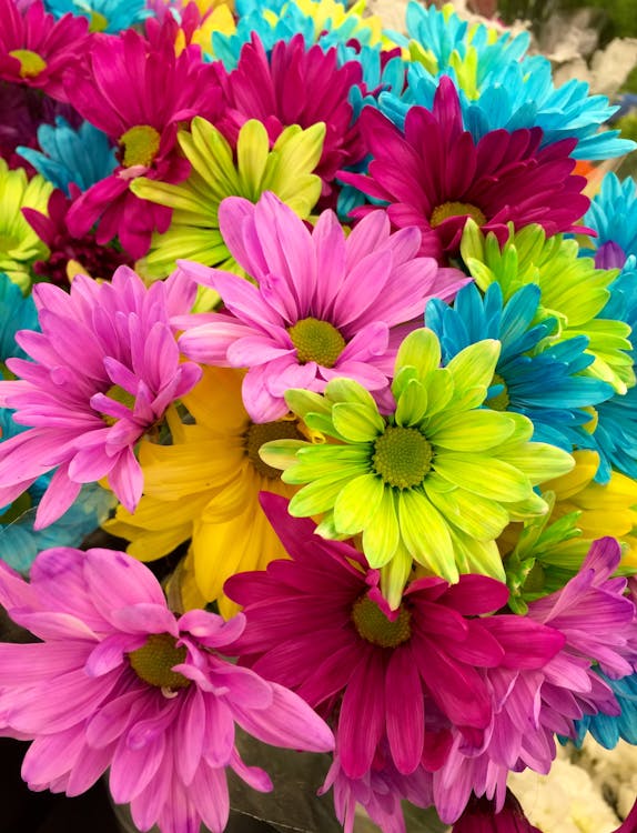 Безкоштовне стокове фото на тему «барвистий, барвистий фон, Букет квітів»
