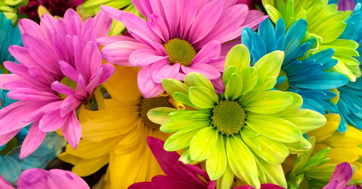 Pink Green Blue Multi Petaled Flowers