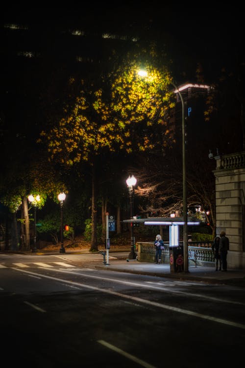 Free Illuminated road in dark city street between buildings and trees with various unrecognizable people standing at bus stop on pavement at night Stock Photo
