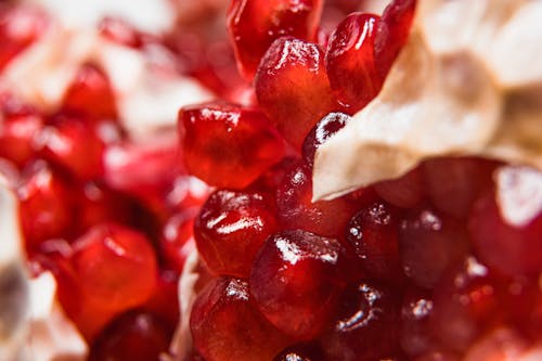 Red Seeds in Shallow Focus