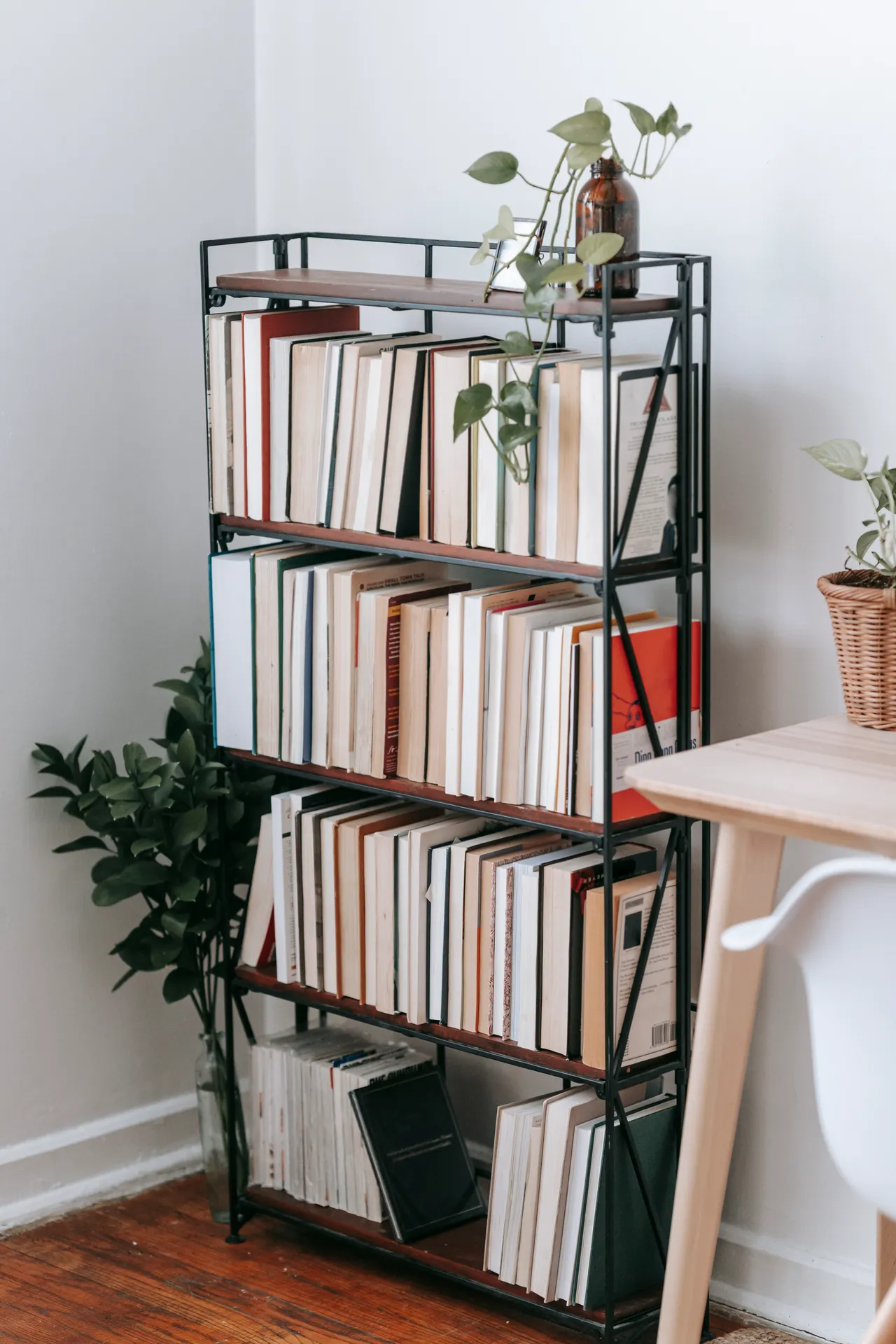 heavy-items-low-bookshelf Tall black bookcase with colorful books and green plants, heavier items lower