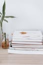 Sprig of Dracaena near pile of copybooks on table