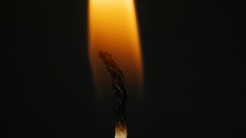 Fotos de stock gratuitas de ardiente, de cerca, fotografía macro