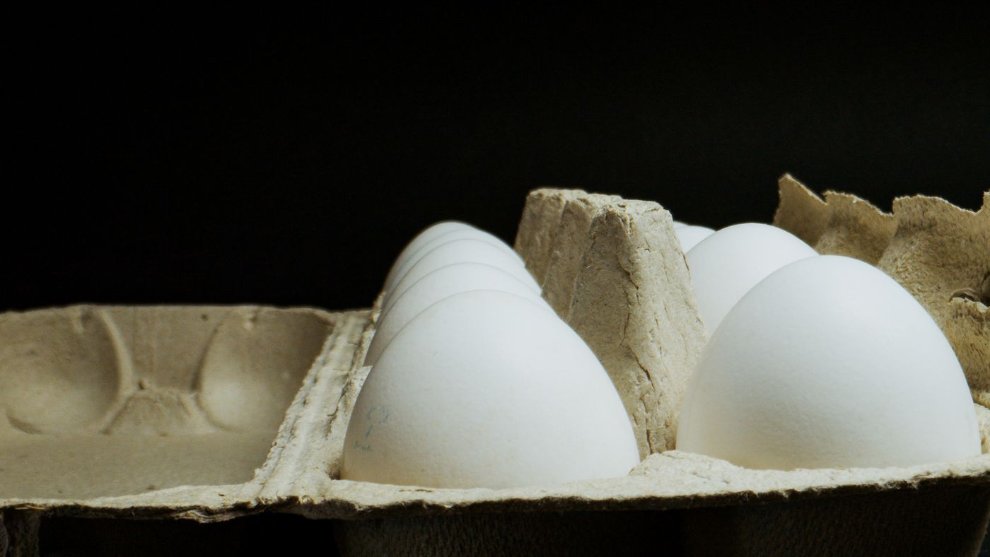 Huevos blancos acomodados en una caja de cartón sobre fondo oscuro