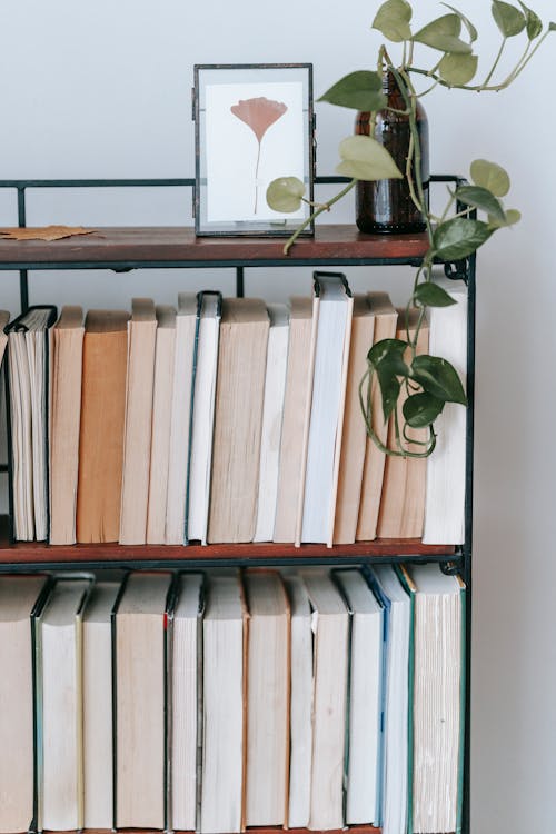 Climbing plant against illustration of leaf in frame above assorted textbooks on shelves at home on light background