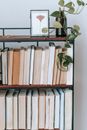 Climbing plant against illustration of leaf in frame above assorted textbooks on shelves at home on light background