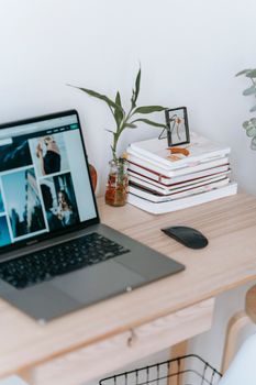 Netbook with photos on screen against vase with plant sprig and books with mouse on desk in house on light background