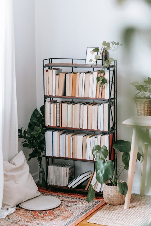 Room interior with exotic plants and textbooks in rows on bookshelves against pillow on ornamental carpet in house