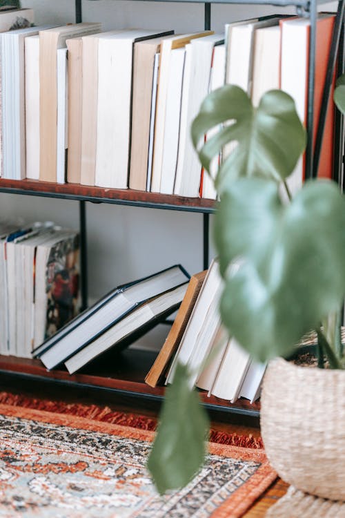 Free Bookcase with collection of literature in rows against rug with ornament and Monstera in pot at home Stock Photo