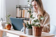 Crop focused female remote worker surfing internet on netbook at table with potted plants in light house room