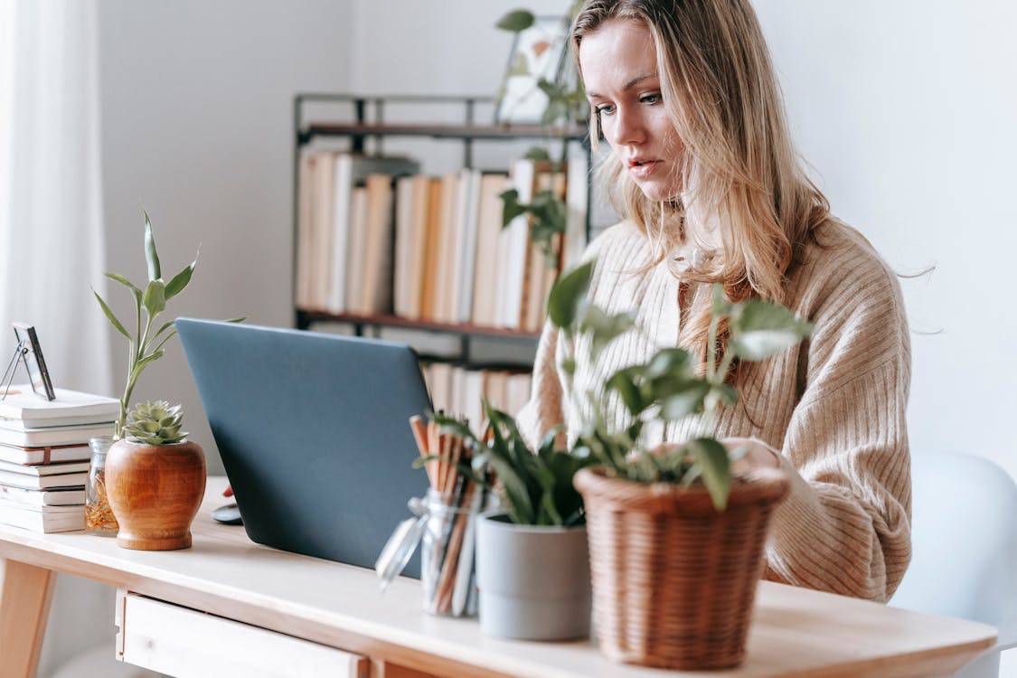 Free Crop focused female remote worker surfing internet on netbook at table with potted plants in light house room Stock Photo
